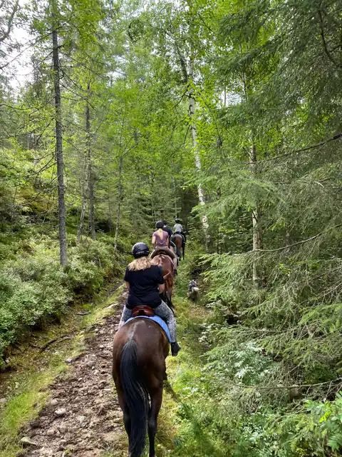 Animaux & Équitation
