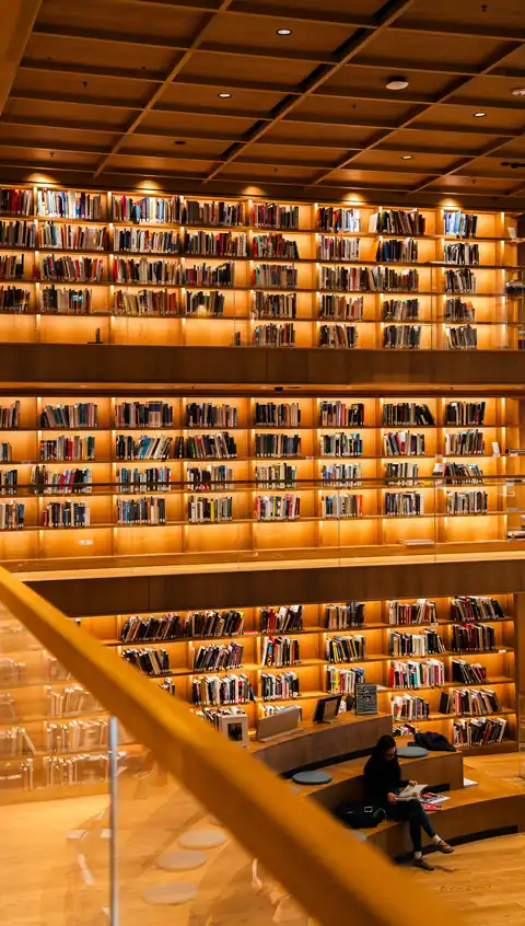 Éducation & Learning